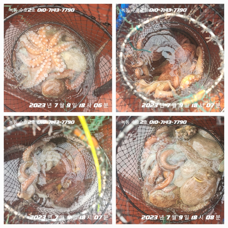 녹동수호2호의 조황일지 이미지 - 3