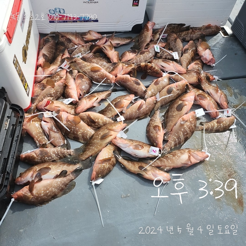 녹동수호2호의 조황일지 이미지 - 3