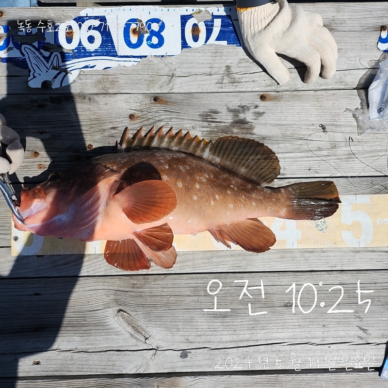 녹동수호2호의 조황일지 이미지 - 2