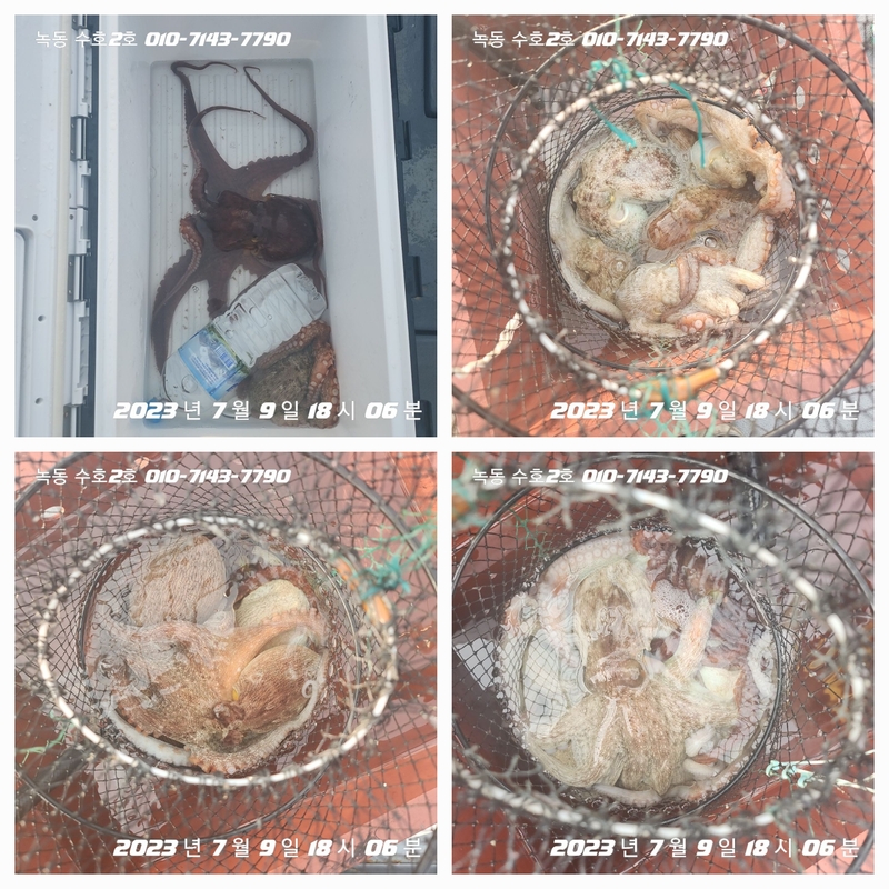 녹동수호2호의 조황일지 이미지 - 2