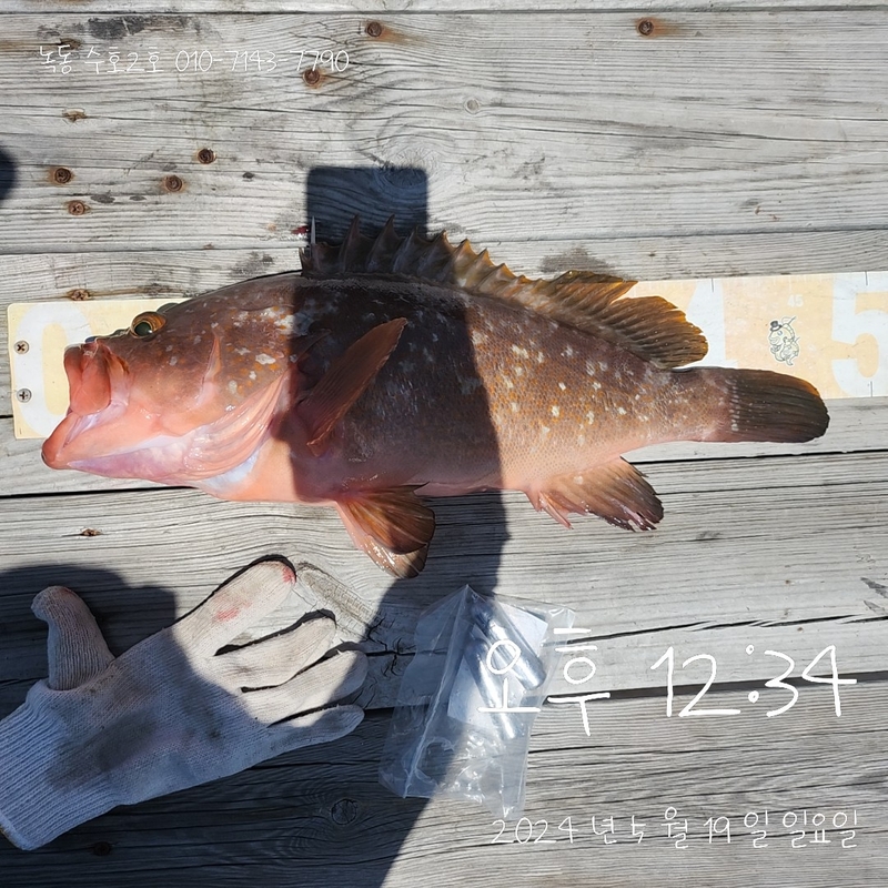 녹동수호2호의 조황일지 이미지 - 4