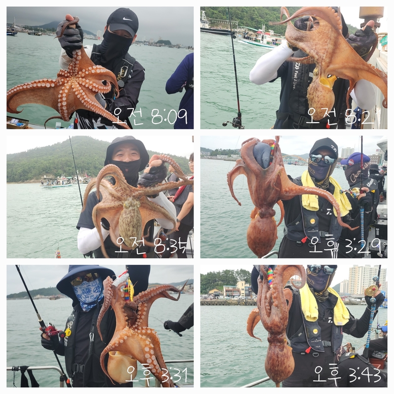 녹동수호2호의 조황일지 이미지 - 2