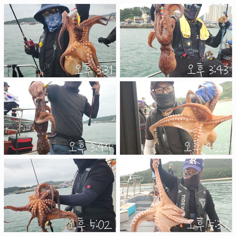 녹동수호2호의 조황일지 이미지 - 3