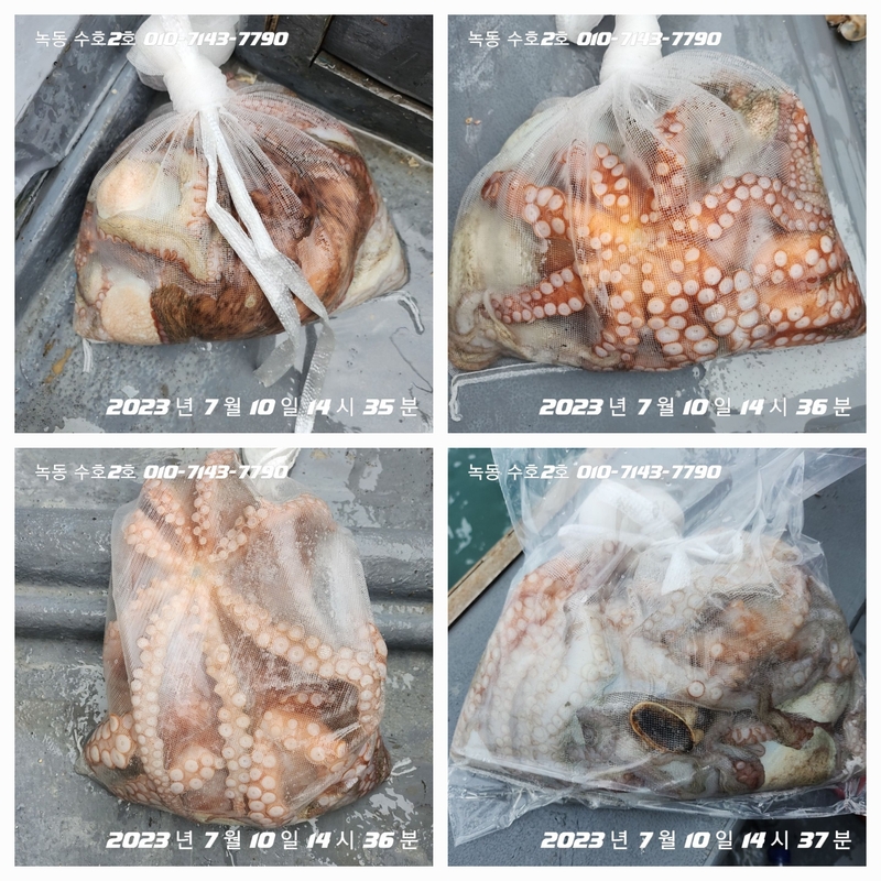 녹동수호2호의 조황일지 이미지 - 1