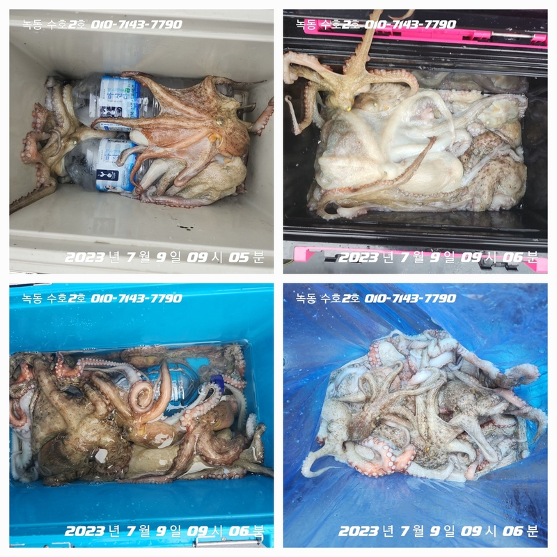 녹동수호2호의 조황일지 이미지 - 1