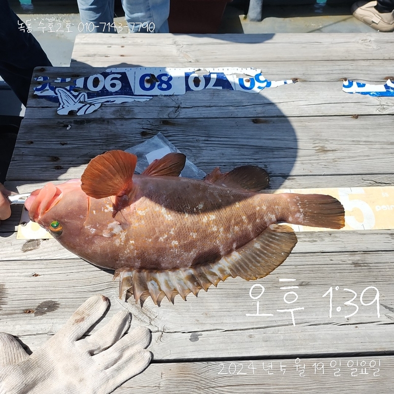 녹동수호2호의 조황일지 이미지 - 6