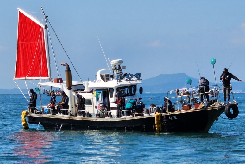 해당 선사를 대표하는 이미지