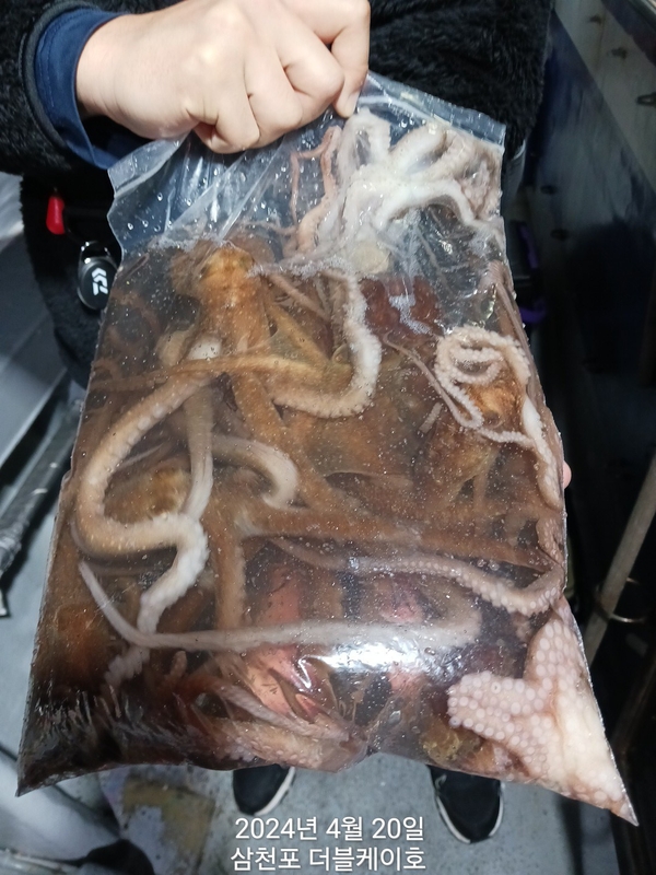 더블케이호의 조황일지 이미지 - 0