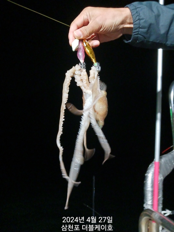 더블케이호의 조황일지 이미지 - 12