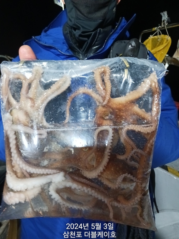 더블케이호의 조황일지 이미지 - 3