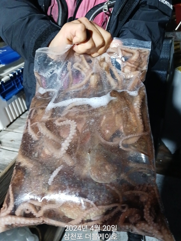 더블케이호의 조황일지 이미지 - 1