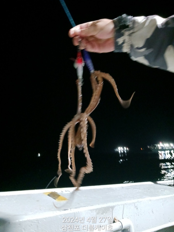 더블케이호의 조황일지 이미지 - 11