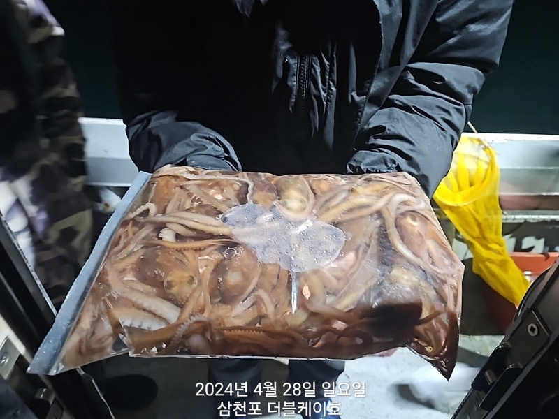 더블케이호의 조황일지 이미지 - 1