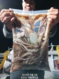 야간 낙지,갑오징어 조황! 선상낚시로 잡은 물고기 조황