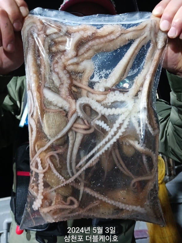 더블케이호의 조황일지 이미지 - 1