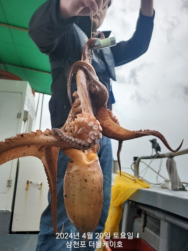 더블케이호의 조황일지 이미지 - 4