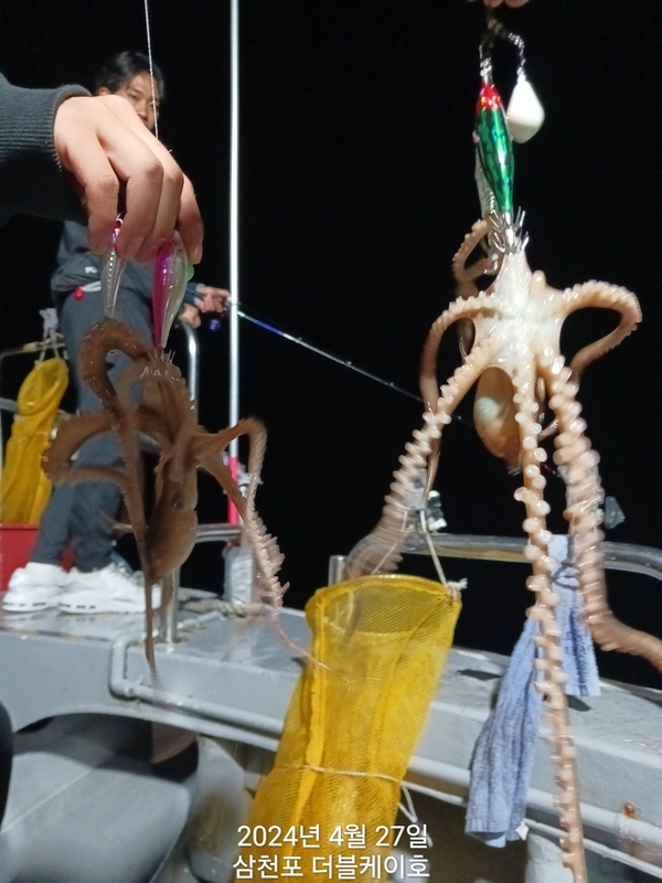 더블케이호의 조황일지 이미지 - 5