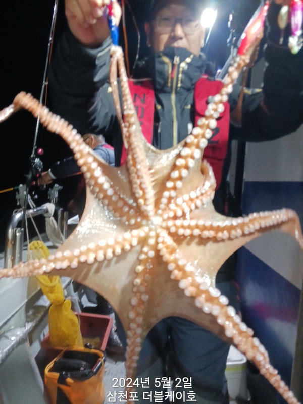 더블케이호의 조황일지 이미지 - 4