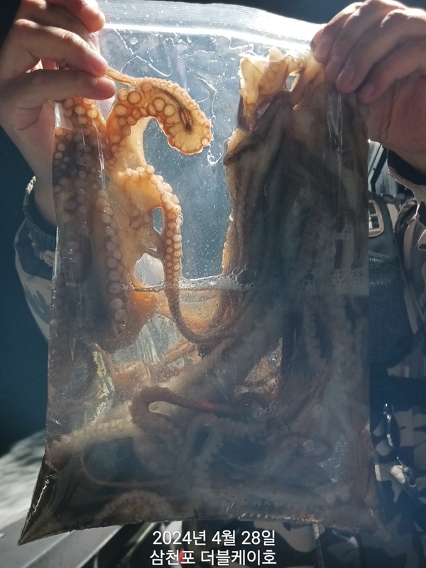 더블케이호의 조황일지 이미지 - 3