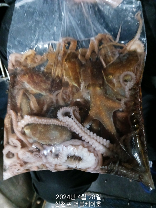 더블케이호의 조황일지 이미지 - 4