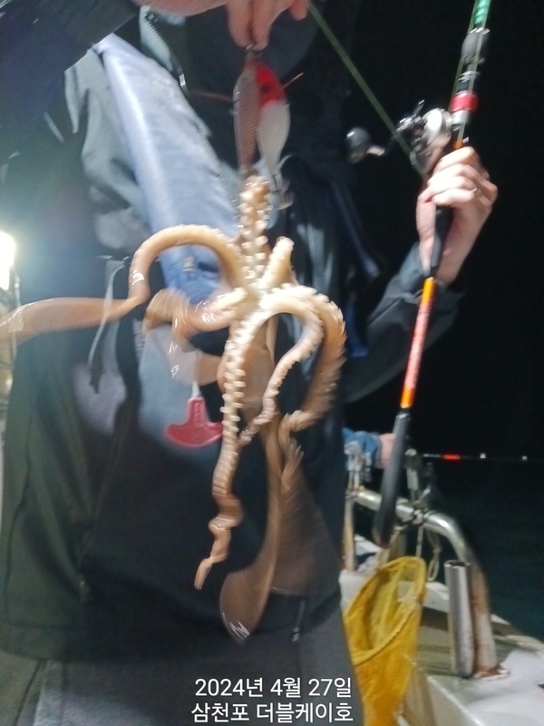 더블케이호의 조황일지 이미지 - 10