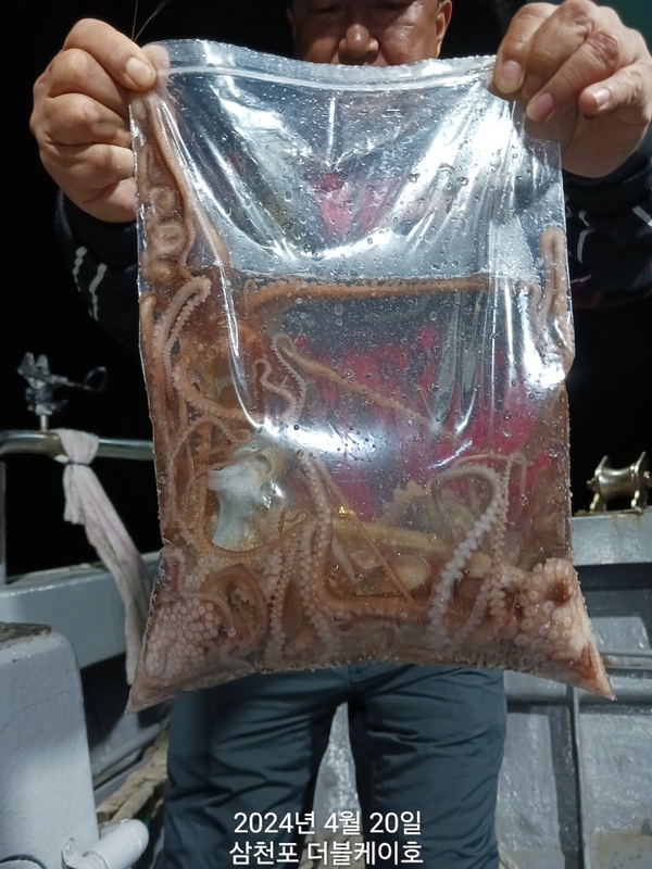 더블케이호의 조황일지 이미지 - 2