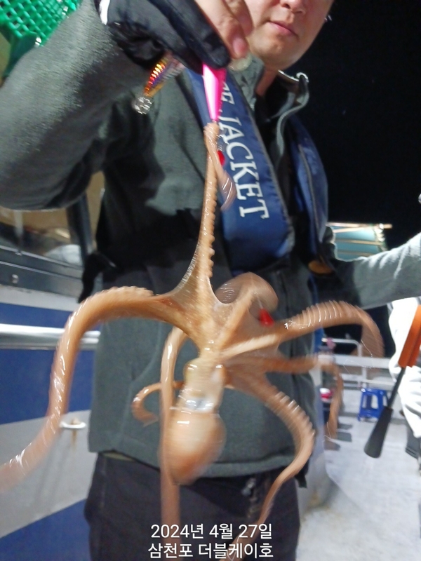 더블케이호의 조황일지 이미지 - 6