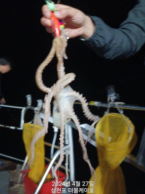 더블케이호의 조황일지 이미지 - 9