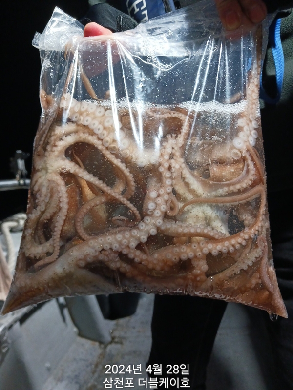 더블케이호의 조황일지 이미지 - 2