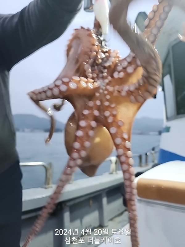 더블케이호의 조황일지 이미지 - 6