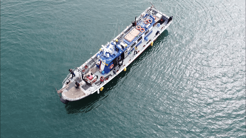 해당 선사를 대표하는 이미지