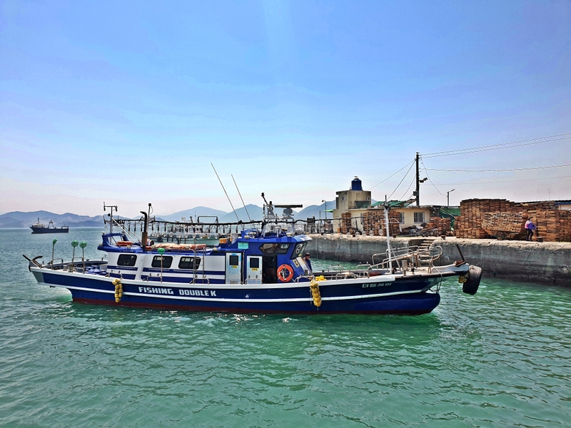 해당 선사를 대표하는 이미지