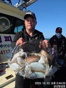 23일 군산창성호 갑오징어 굿굿 조황입니다. 선상낚시로 잡은 물고기 조황