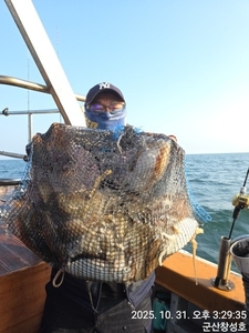 31일 군산창성호 갑오징어 굿조황 선상낚시로 잡은 물고기 조황
