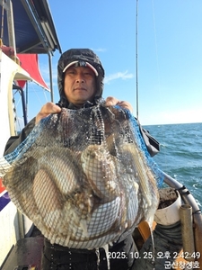 25일 군산창성호 갑오징어 굿굿 조황입니다. 평일 여유자리 많습니다. 선상낚시로 잡은 물고기 조황