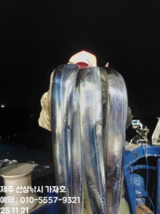 << 제주가자호>선상낚시 전문> 11월 20일 야간갈치 조황 선상낚시로 잡은 물고기 조황