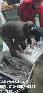 << 제주가자호>선상낚시 전문> 11월 19일 야간갈치 조황 선상낚시로 잡은 물고기 조황