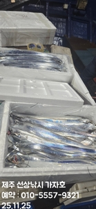 << 제주가자호>선상낚시 전문> 11월 24일 야간갈치 조황 선상낚시로 잡은 물고기 조황