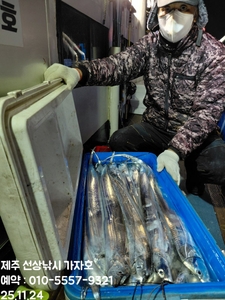 << 제주가자호>선상낚시 전문> 11월 23일 야간갈치 조황 선상낚시로 잡은 물고기 조황