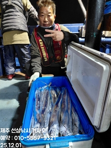 << 제주가자호>선상낚시 전문> 11월 30일 야간갈치 조황 선상낚시로 잡은 물고기 조황
