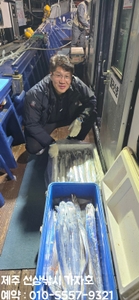 << 제주가자호>선상낚시 전문> 야간갈치 조업 조황 선상낚시로 잡은 물고기 조황