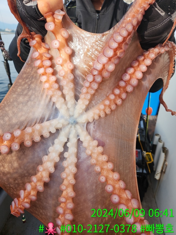 빠뽕호의 조황일지 이미지 - 14