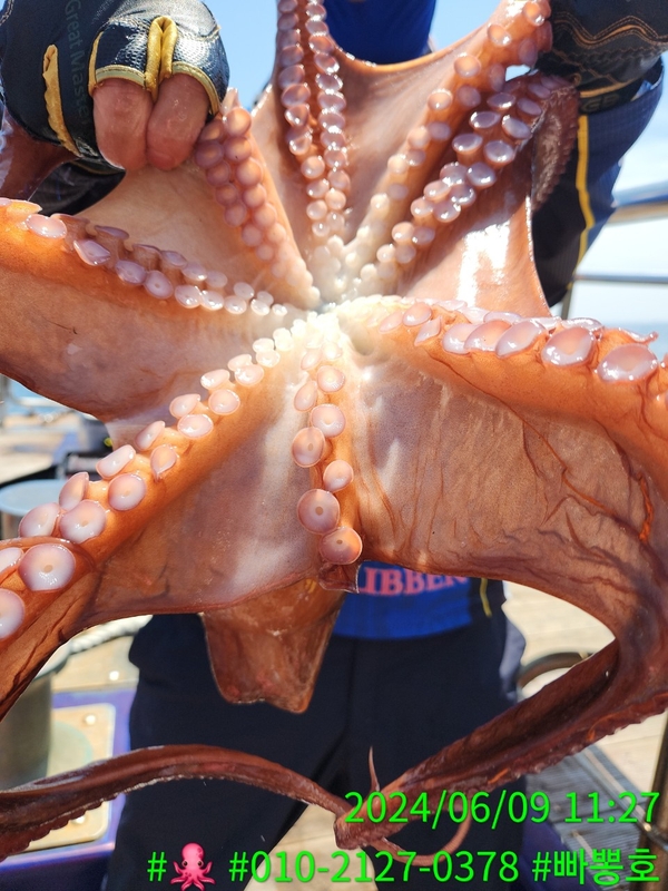 빠뽕호의 조황일지 이미지 - 3