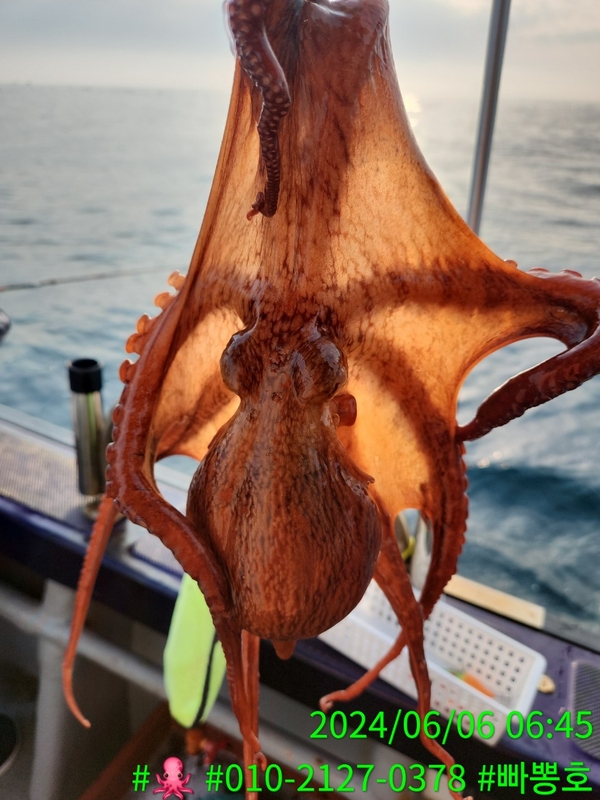 빠뽕호의 조황일지 이미지 - 12