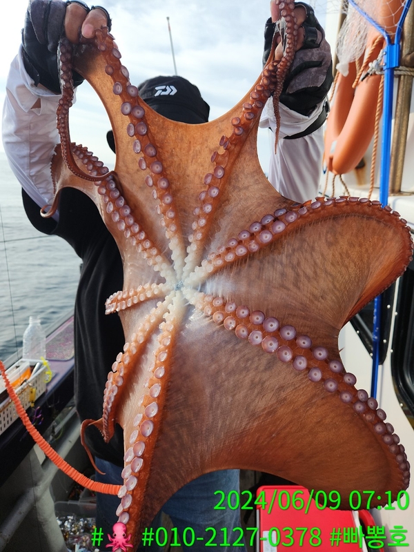 빠뽕호의 조황일지 이미지 - 10