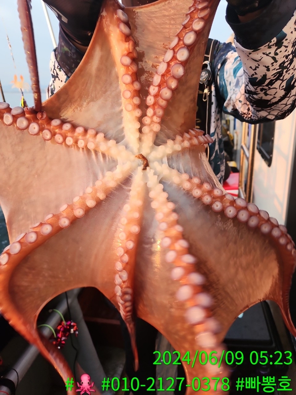 빠뽕호의 조황일지 이미지 - 16