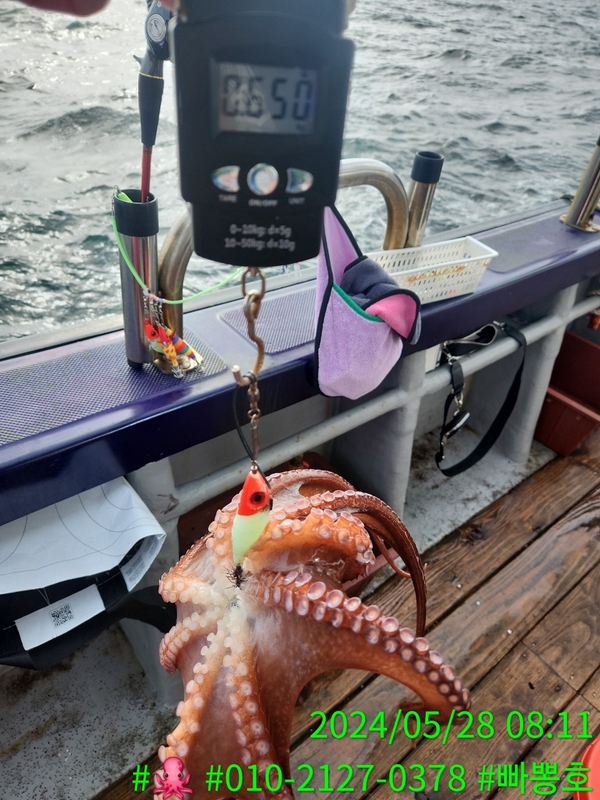 빠뽕호의 조황일지 이미지 - 9