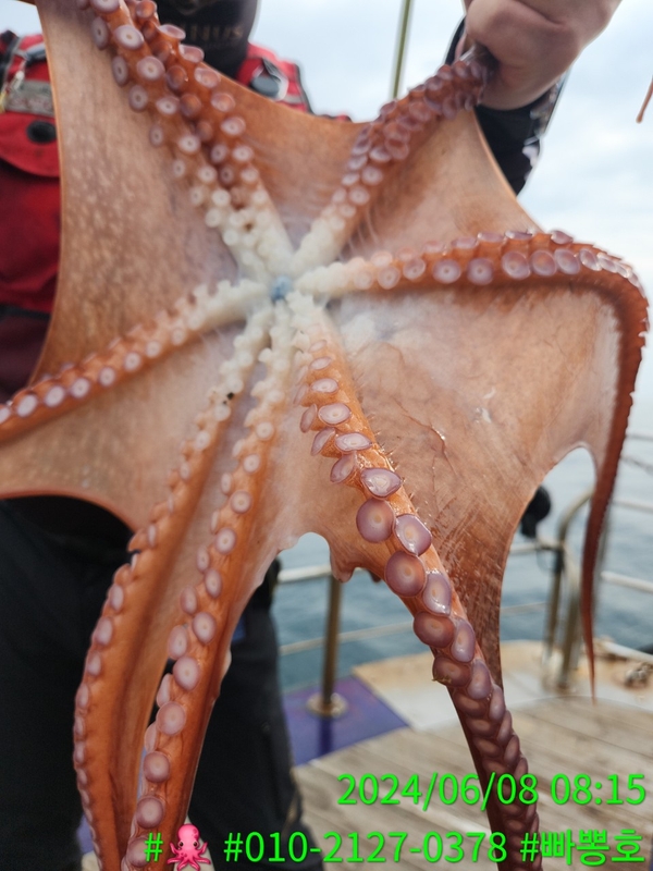 빠뽕호의 조황일지 이미지 - 12