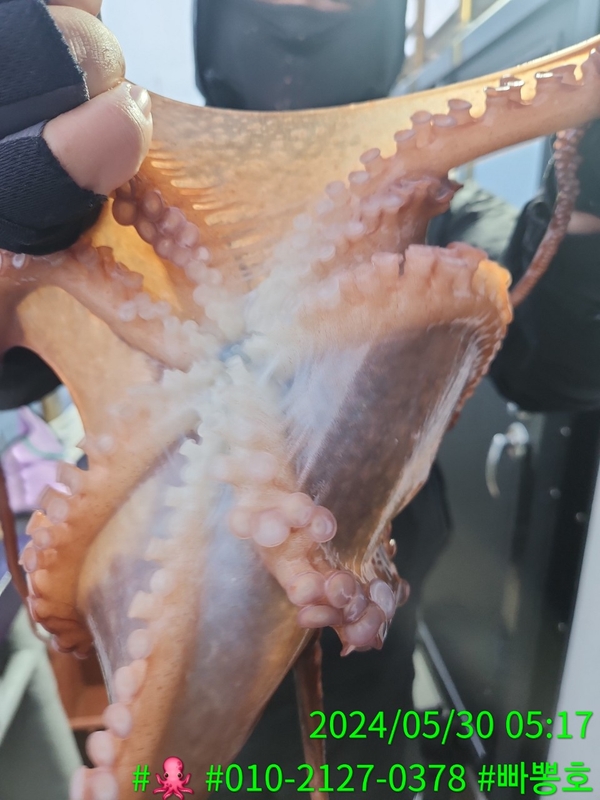 빠뽕호의 조황일지 이미지 - 10