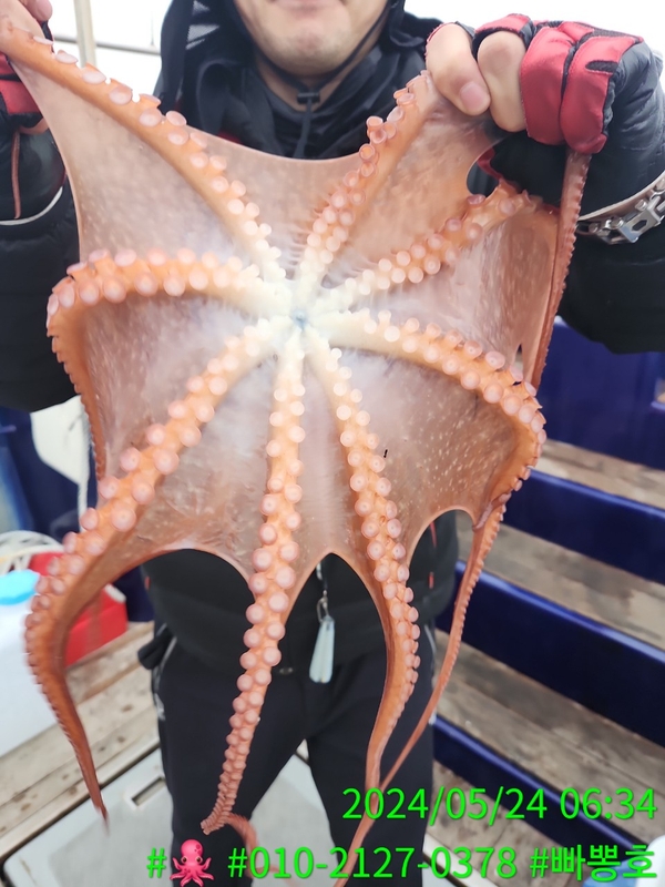 빠뽕호의 조황일지 이미지 - 6